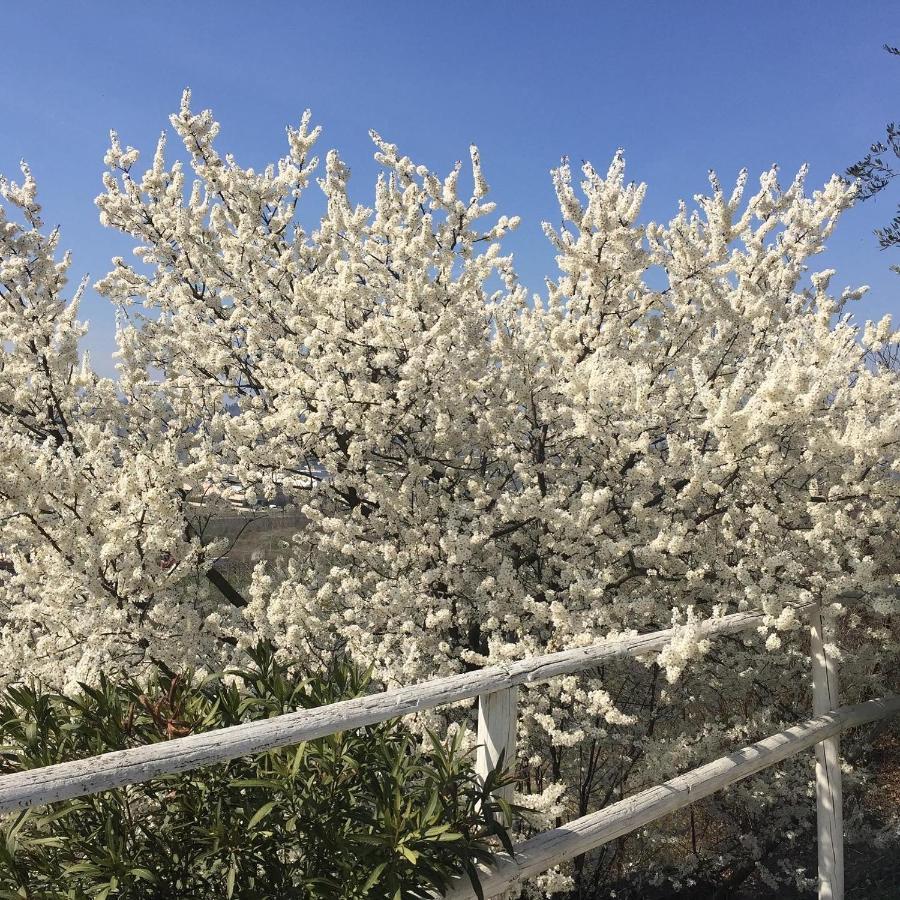 阿菲 Relais Il Pigno旅馆 外观 照片
